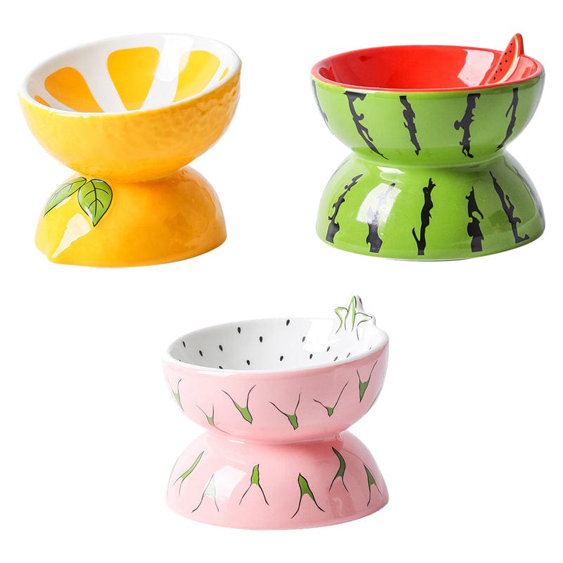 Cute Fruit-Themed Ceramic Cat/Small Dog Bowl - The Palm Beach Baby