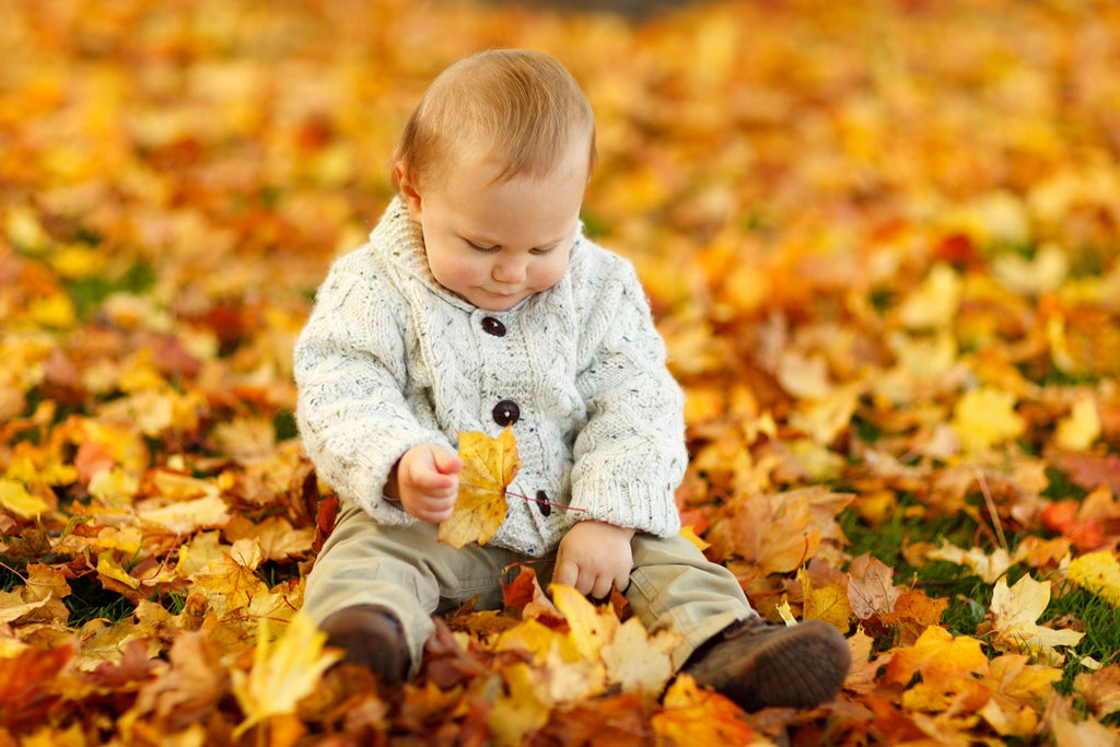 Pumpkin Patch