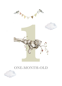 Baby Bundles: Beyond Measure #1 (Take Home Box) - Newborn Boy - Includes 5 YR Memory Book - The Palm Beach Baby
