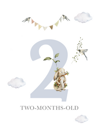Baby Bundles: Beyond Measure #1 (Take Home Box) - Newborn Boy - Includes 5 YR Memory Book - The Palm Beach Baby