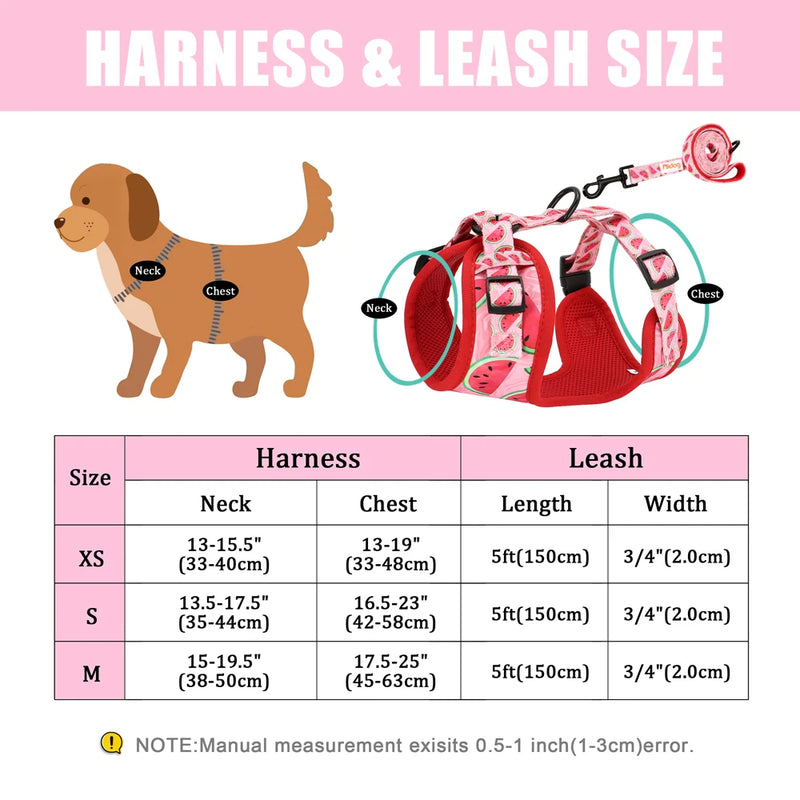 "Harness Cutie" Fun Print Pet Harnes + Leash - 4 Prints