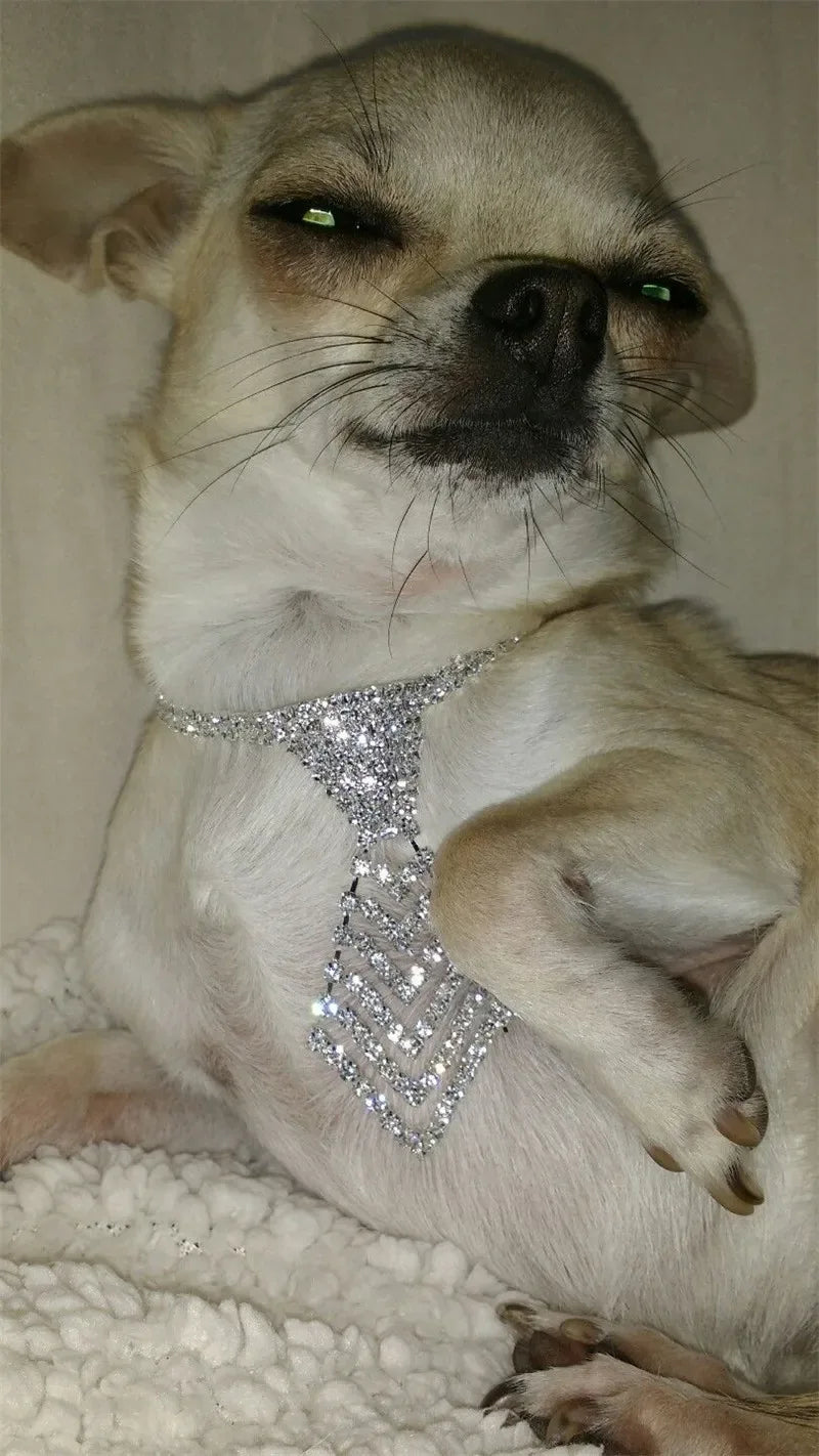 Dapper Pet Rhinestone Tie for Glam Pets - Elegant White Accessory for Stylish Dogs & Cats - The Palm Beach Baby