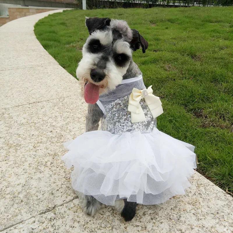 DIVA Pet: "Vana" Sequined Pet Tutu Dress - White Tulle - The Palm Beach Baby