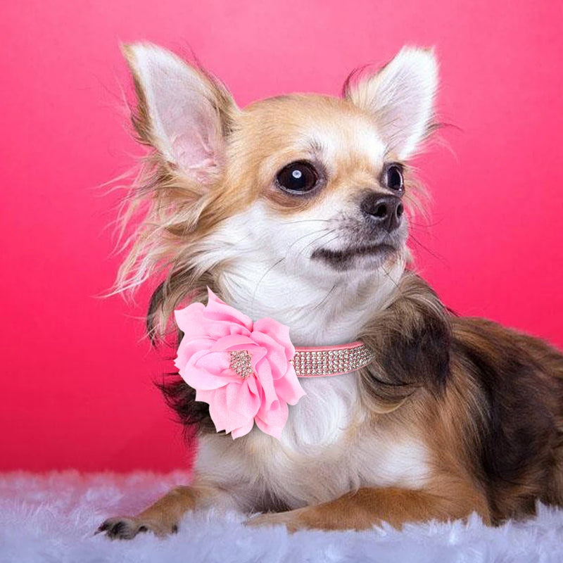 "Floral Elegance" Rhinestone Pet Collar