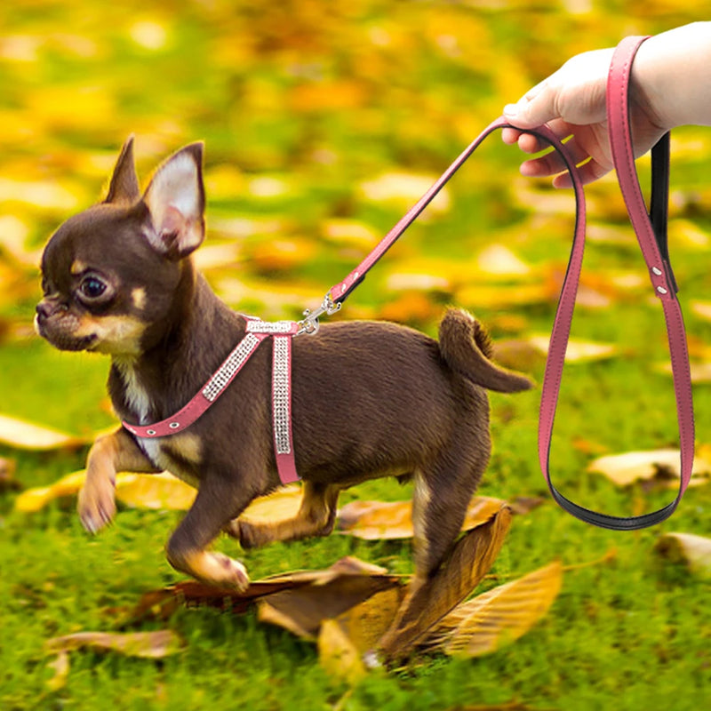 "Poochin' On The Ritz" Rhinestone Dog Harness + Leash Set