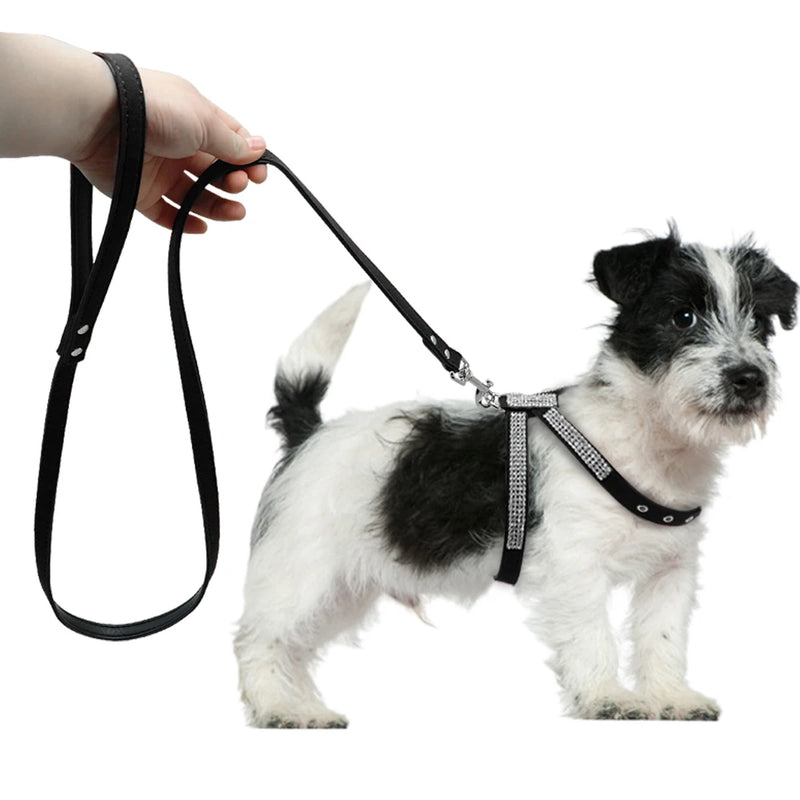 "Poochin' On The Ritz" Rhinestone Dog Harness + Leash Set