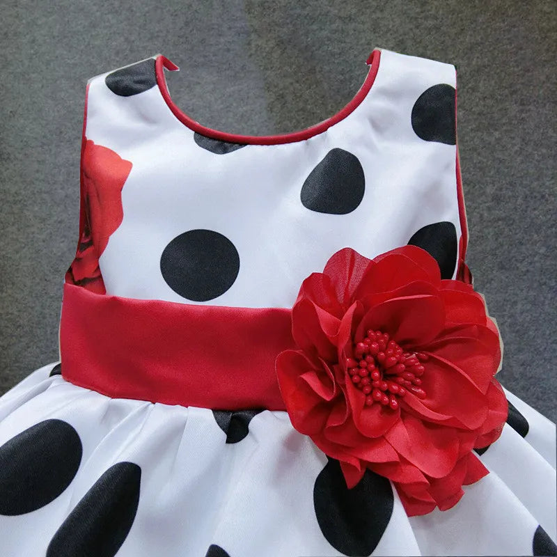 "Chloe" Polk Dots And Roses Print Party Dress