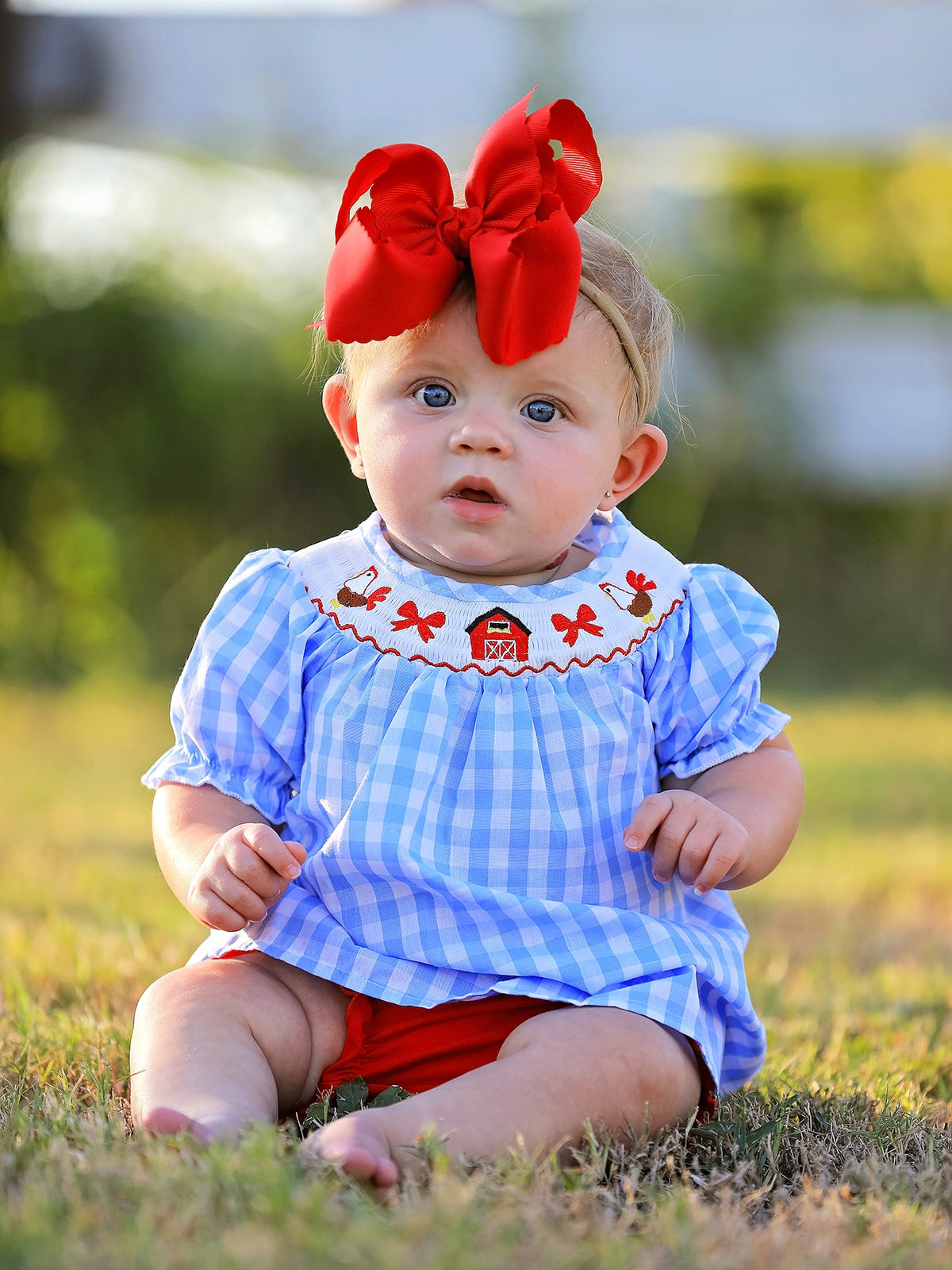 Charming Farm Smocking Embroidered Girls Outfits featuring delicate embroidery on the sleeves of the embroidered smocking dress.