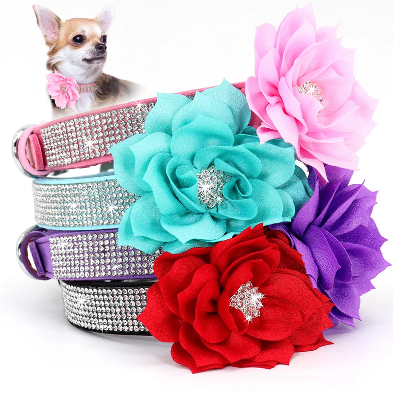"Floral Elegance" Rhinestone Pet Collar