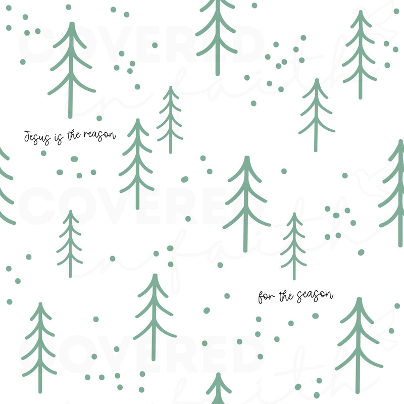 Jesus is the Reason for the Season Minky Blanket - The Palm Beach Baby