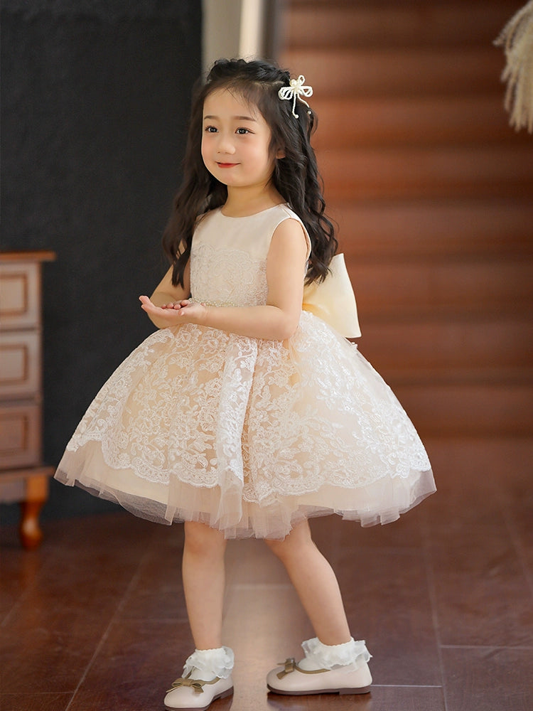 "Nicolette" Luxurious Lace Special Occasion Dress