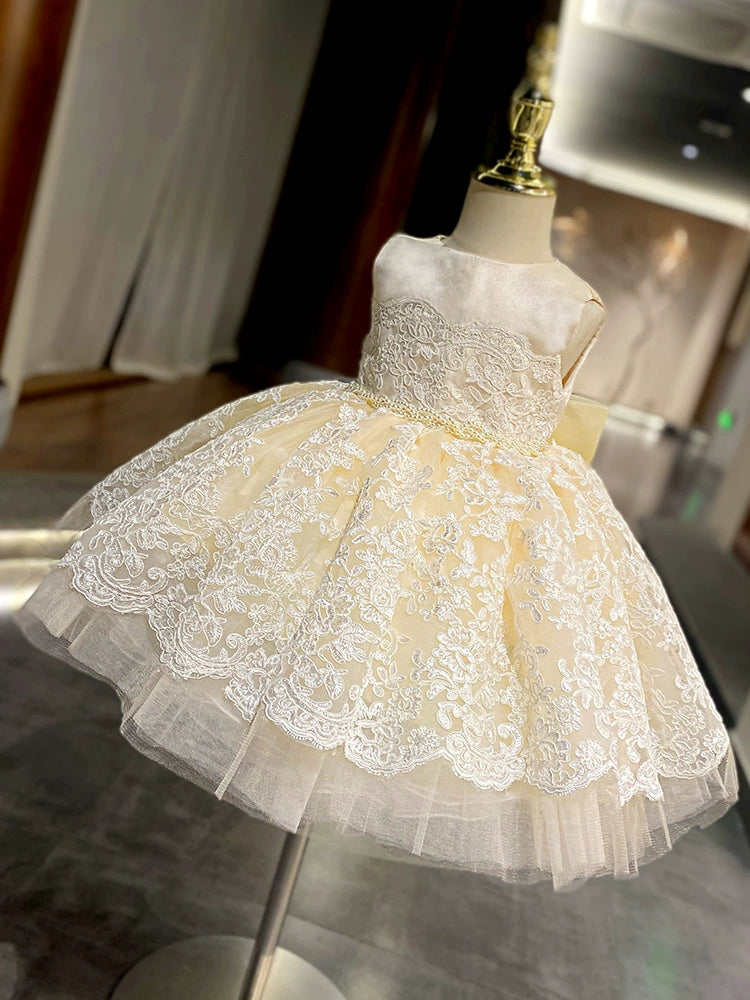"Nicolette" Luxurious Lace Special Occasion Dress