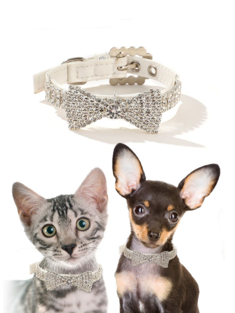 DIVA Pet "Sweetie Pie" Bowtie Collar