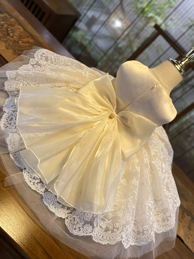 "Nicolette" Luxurious Lace Special Occasion Dress