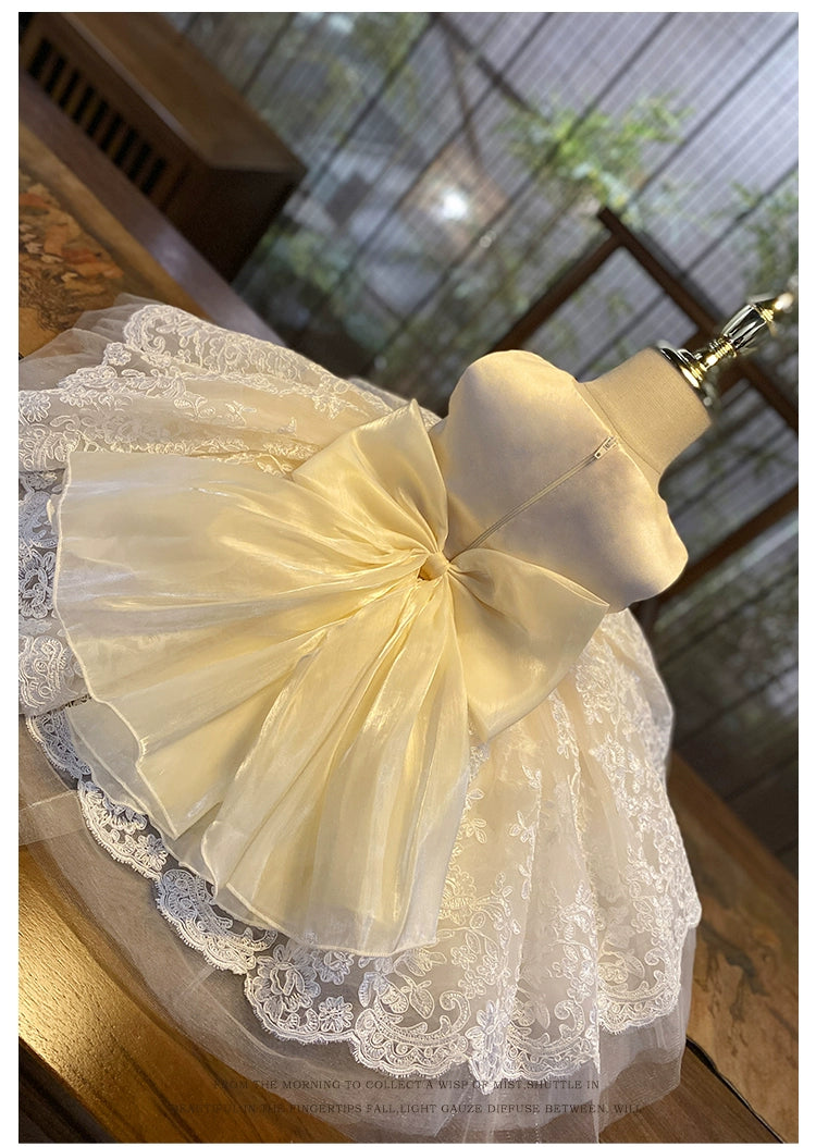 "Nicolette" Luxurious Lace Special Occasion Dress