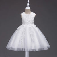 Felice Lace Tulle Occasion Dress In 4 Elegant Colors - The Palm Beach Baby 10 - 18 Day Shipping
