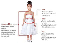 Olivia Patrice Luxury Long Baptism Gown for Baby - 4 Color Options - The Palm Beach Baby