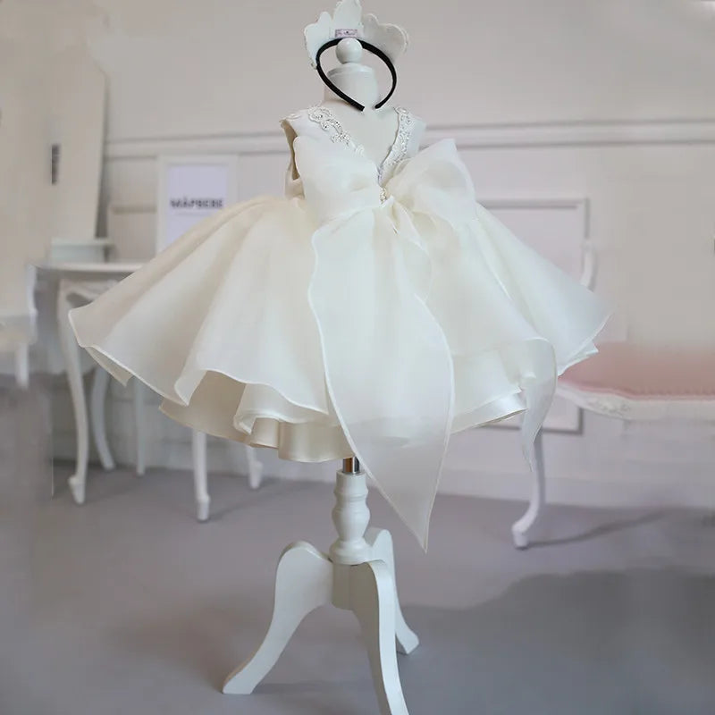 Elegant Girls Beaded Embroidered Occasion Dress