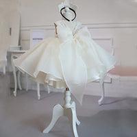 Elegant Girls Beaded Embroidered Occasion Dress
