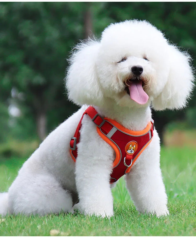 Colorful Reflective Pet Harness