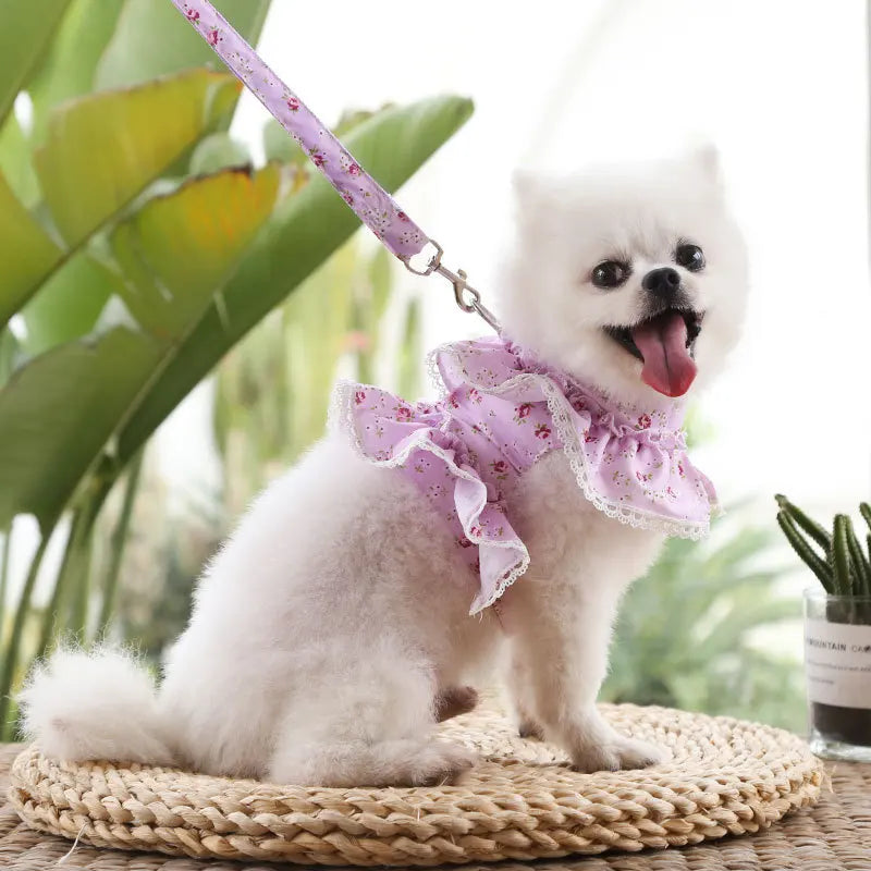 DIVA Pet: "Daisy" Floral Frilly Harness Set