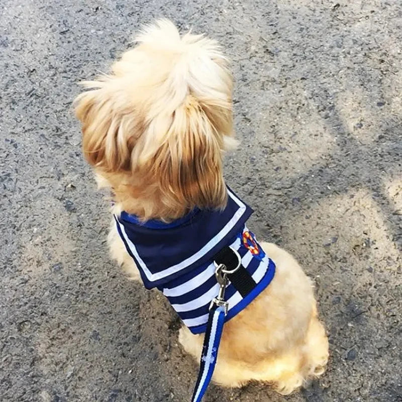 "Nautical But Nice" Pet Harness With Leash