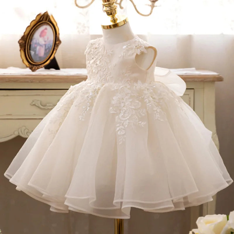 Elegant Lace Special Occasion Dress