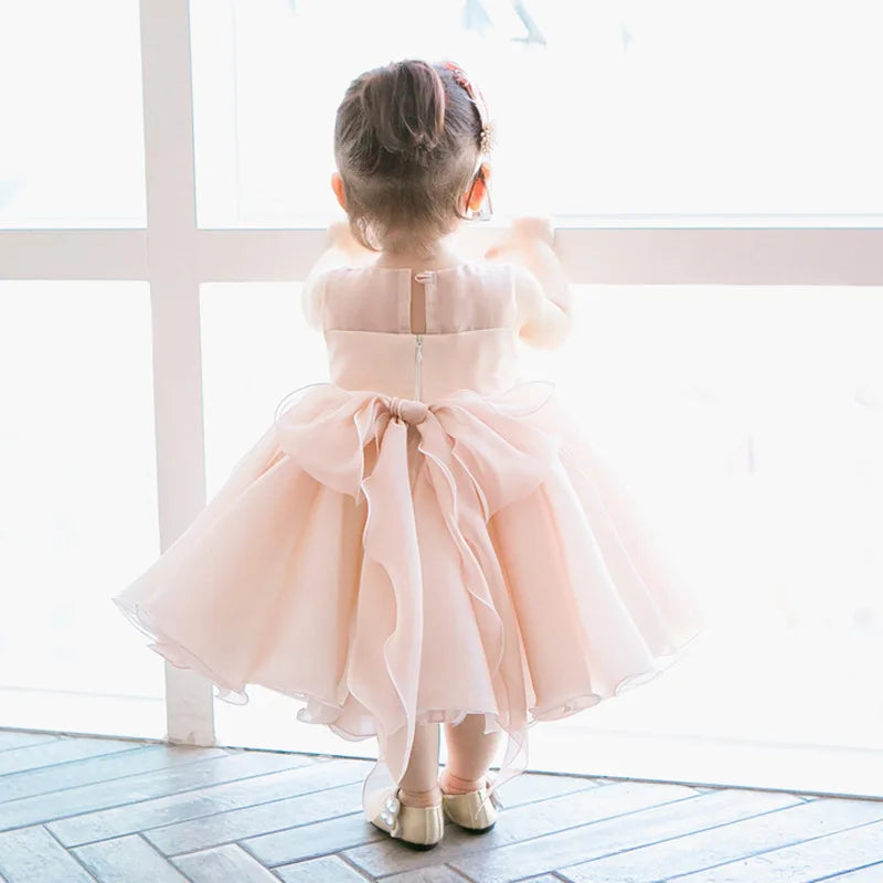Clara Tulle Special Occasion Dress