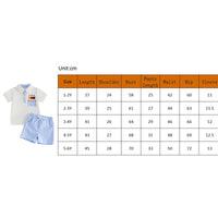 Two-piece boys' polo set with pencil embroidery and blue-checked shorts.