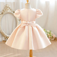 Ailani Elegant Beaded Pink Blush Special Occasion Party Dress - The Palm Beach Baby Estimated 12 - 22 Day Shipping