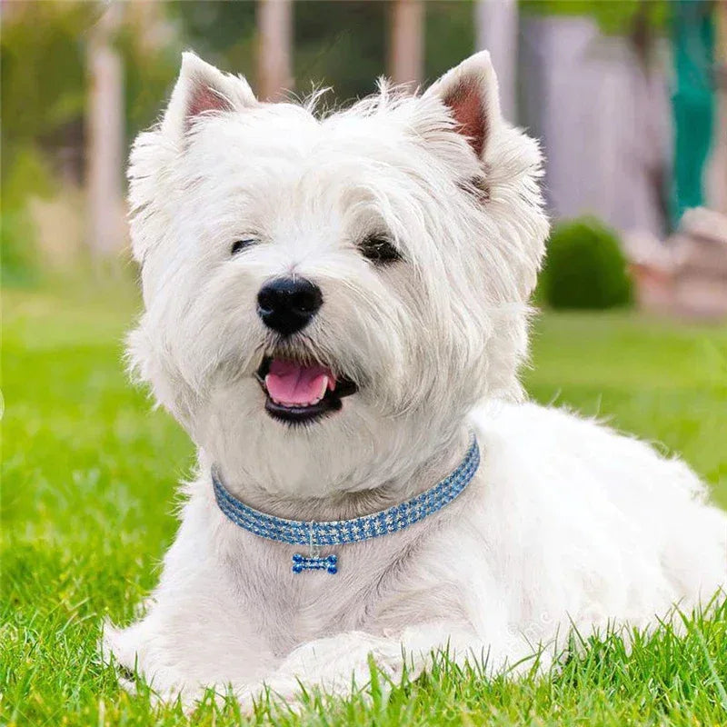 "A Bling Thing" Rhinestone Dog Collar - Sweet Heart for Your Sweetie - The Palm Beach Baby