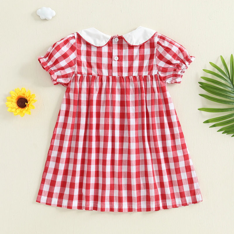 "An Apple a Day" Embroidered Checked Dress