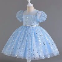 Tanya Chic Sparkly Party Dress with Puff Sleeves - 5 Elegant Colors - The Palm Beach Baby Estimated 12 - 20 Day Shipping