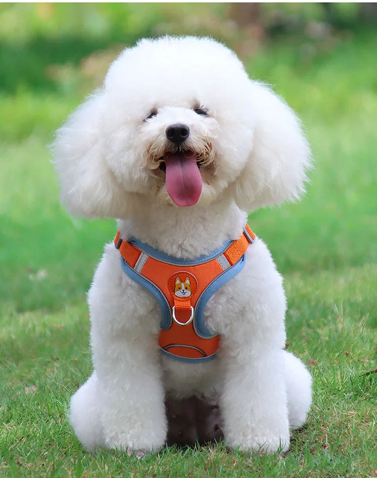 Colorful Reflective Pet Harness