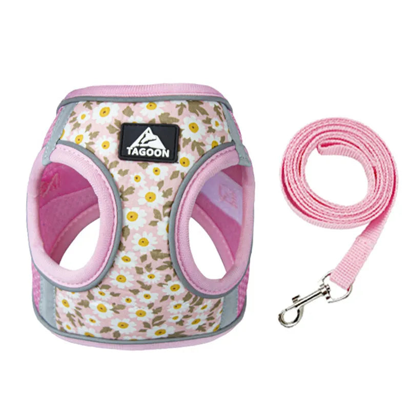 DIVA Pet - Cute Floral Harness and Leash Set