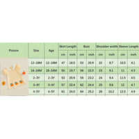 A size chart table for a baby dress, showing measurements in centimeters and inches for skirt length, bust, shoulder width, and sleeve length across sizes 12-18M, 18-24M, 2-3Y, and 3-4Y. A small photo of the dress appears in the left column.