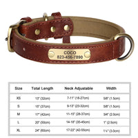Personalized Dog Collar - Soft Fabric with Metal Buckle, Adjustable, Engraved ID Tag & Comfort - The Palm Beach Baby