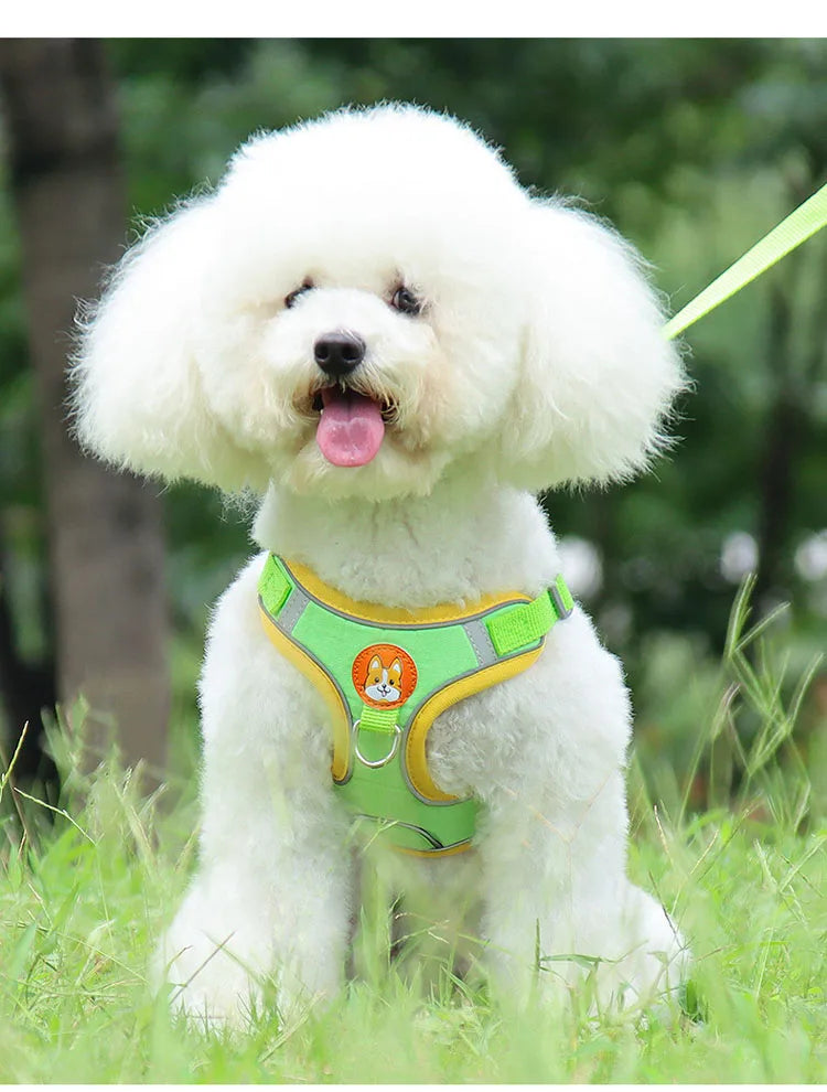 Colorful Reflective Pet Harness