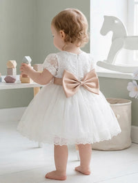 Aeryn White Lace Special Occasion Dress