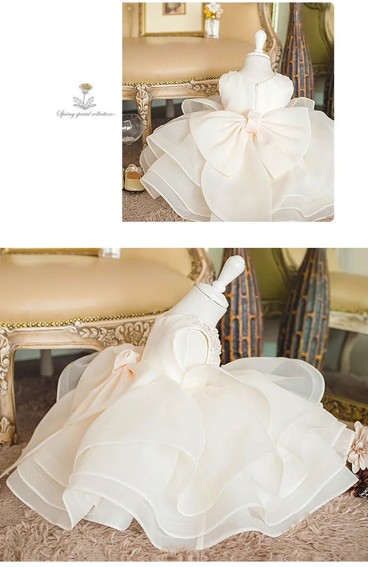 Chic Beige Lela Beaded Special Occasion Dress for Girls