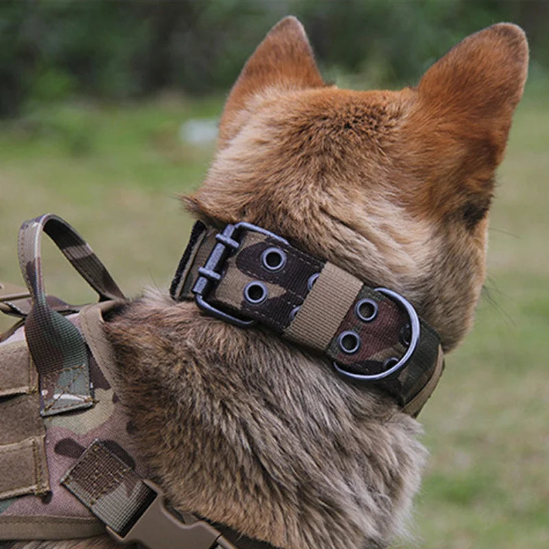 MACHO Pet - Reflective Heavy-Duty Dog Collar