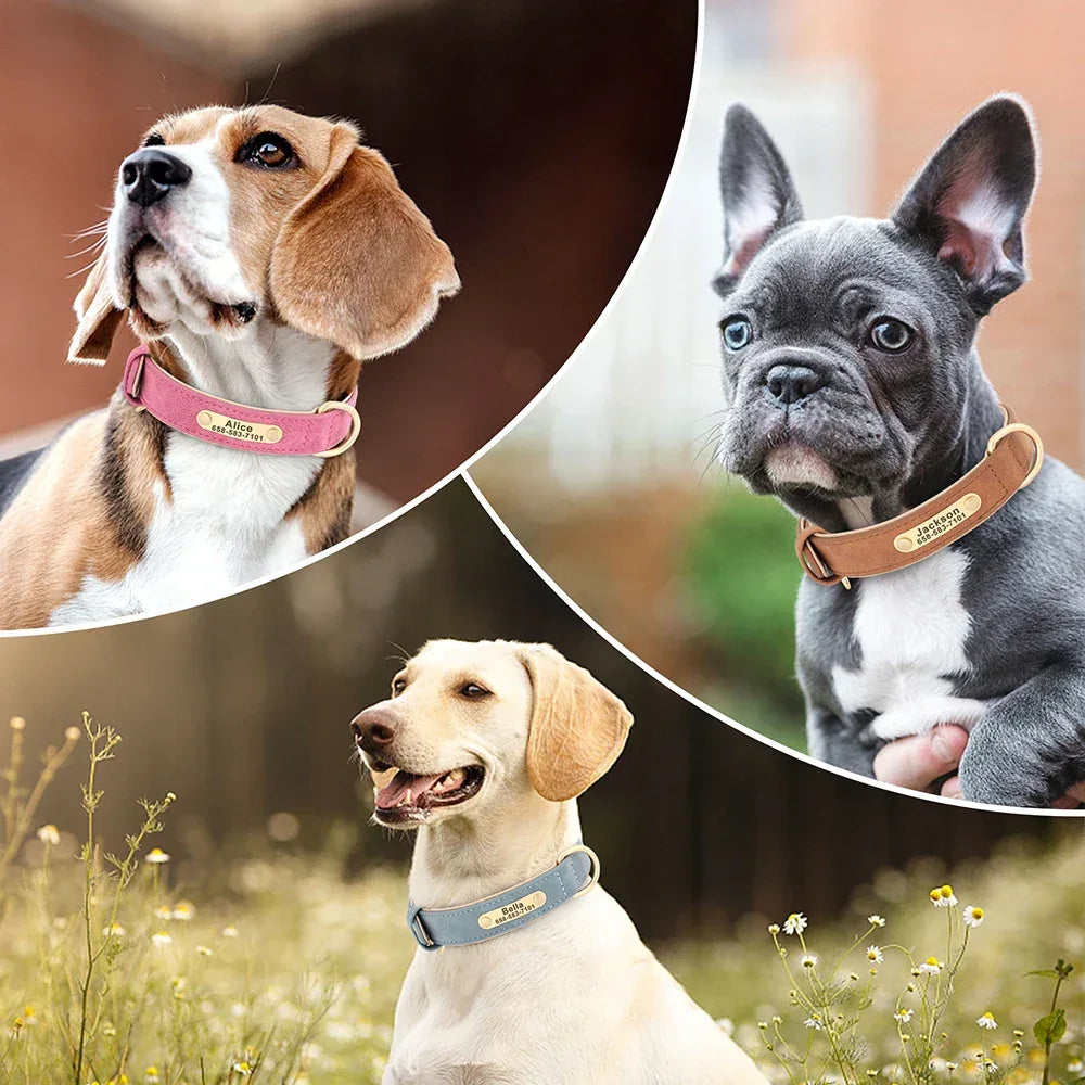 Personalized Dog Collar - Soft Fabric with Metal Buckle, Adjustable, Engraved ID Tag & Comfort - The Palm Beach Baby