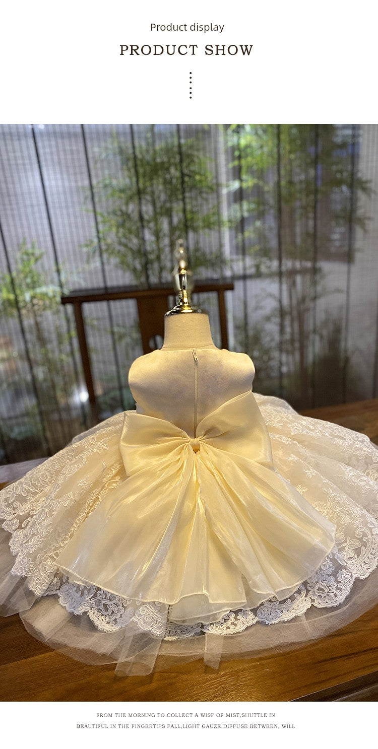 "Nicolette" Luxurious Lace Special Occasion Dress