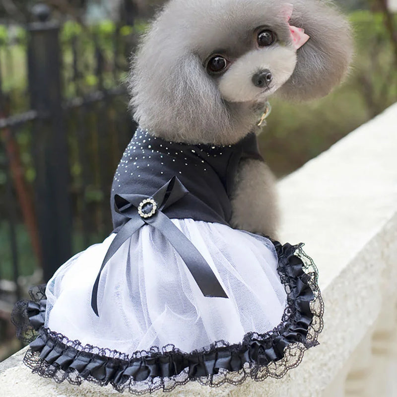 DIVA Pet "Midnight Baby" Elegant Pet Dress