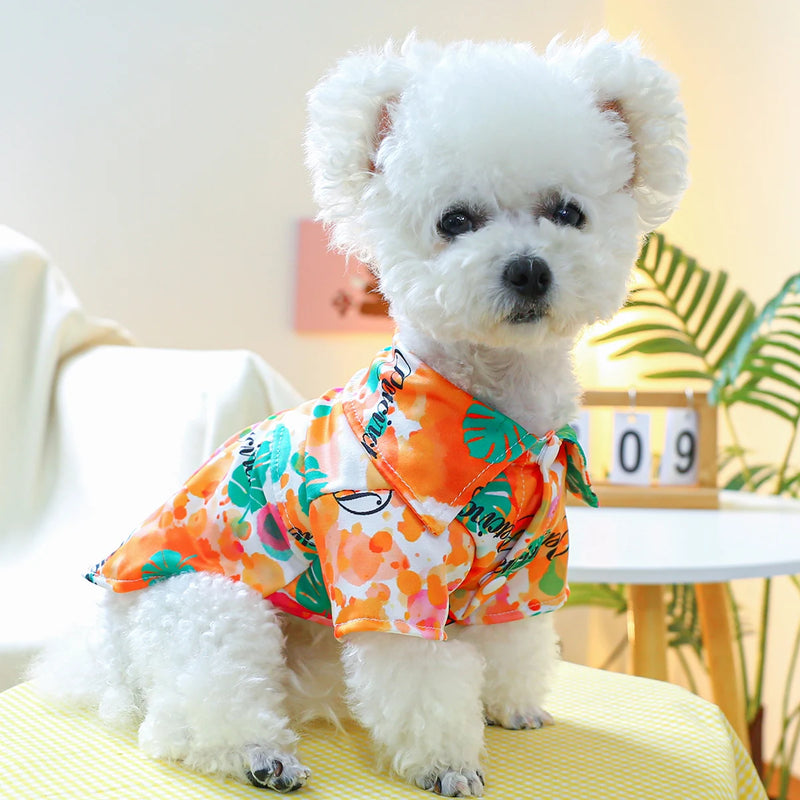 DAPPER Pet: "Orange Splash" Fun-Print Shirt