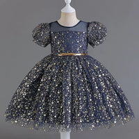 Tanya Chic Sparkly Party Dress with Puff Sleeves - 5 Elegant Colors - The Palm Beach Baby Estimated 12 - 20 Day Shipping