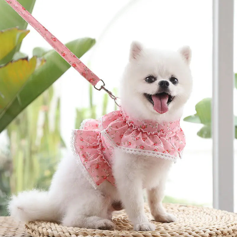 DIVA Pet: "Daisy" Floral Frilly Harness Set