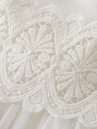Amaryllis Lace Tulle Special Occasion Dress - The Palm Beach Baby Estimated 13 - 21 Day Shipping