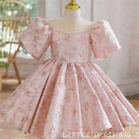 Suzette Elegant Palm Beach Pink Brocade Dress for Little Girls - The Palm Beach Baby Estimated 15 - 20 Shipping