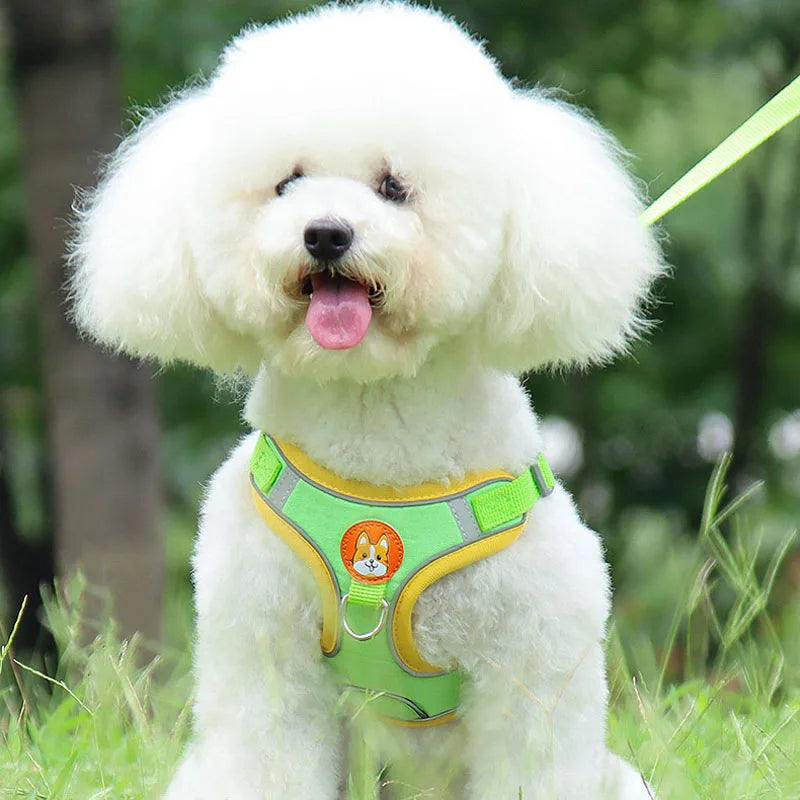 Colorful Reflective Pet Harness
